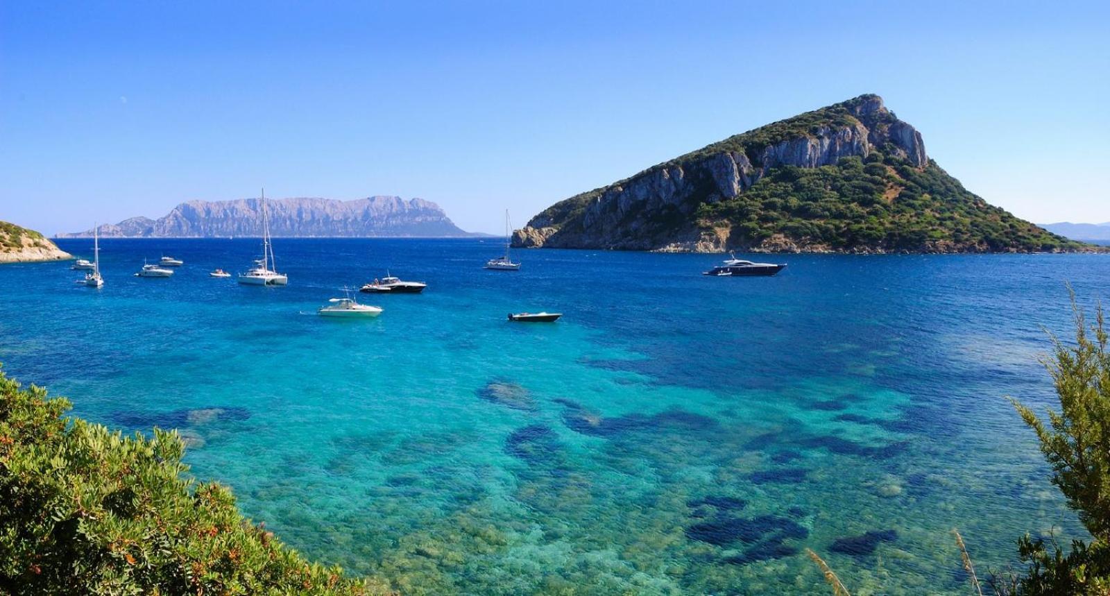 Figari