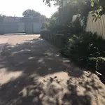 The Garden