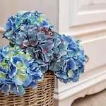 B&B Da Chiara