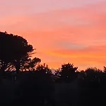 La Buganvillea