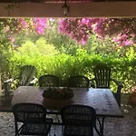 La Buganvillea