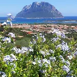 Le Case Del Mare