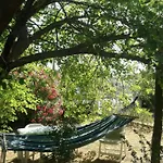 Casa Palmas