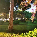 Vicino A Chia, Villino Fronte Mare 100M