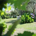 Villa Di Campagna Vicino Al Mare