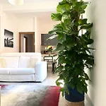 Delonix Regia Olbia