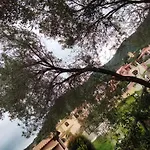 Chia Delizioso Nido Verde Nel Blu