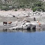 Il Sughereto