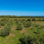 La Casa Di Tomaso