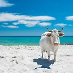 Villino Tavolara A San Teodoro
