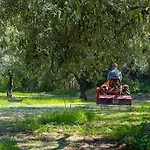 A Charming Country Cottage + Bikes And Kayaks