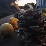 Lu Naracheddu