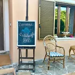 Le 25 Tartarughe