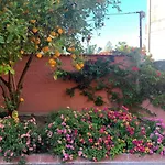 I Limoni Del Sud Sardegna