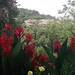 Agrifoglio B&B Con Giardino