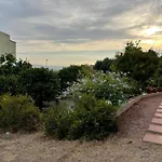 Orange House