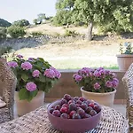Rvv Alghero Country Comfort And Private Relax In Villa Laurus