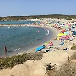 Pinetina