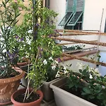 Appartamento Con Grande Terrazza Sul Mare