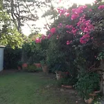 Deliziosa Villa 150 Metri Dal Mare