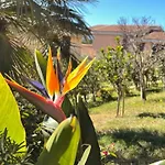 Posidonia Holiday Home