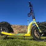 Mirti 13E