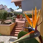 La Casa Al Sole