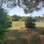 Eden Delle Olive