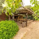 Villa Bados Costa Smeralda 200Mt Dal Mare