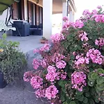La Macchia Mediterranea