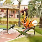 Belvilla By Oyo Spacious Holiday Home With Patio