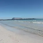 Vista Sul Mare E Tavolara Budoniaffitti