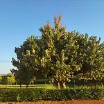 Agriturismo I Doni Del Mandorlo