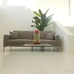 Elegant Basement Suite