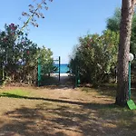 Basaura