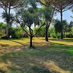 Basaura