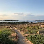 Turtle House
