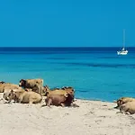 Appartamenti Vista Mare Da Piera