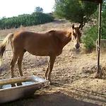 Agriturismo Farris Massimo