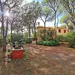 Il Richiamo Del Mare