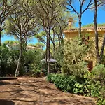 Il Richiamo Del Mare
