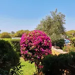 Casa Di Gio - Bilocale Con Giardino