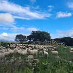 Agriturismo Sa Pigalva