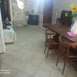 Martynic