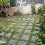 Martynic
