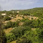 La Casa Di Nonno Ciccito