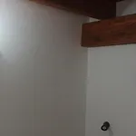Mirto Di Sardegna