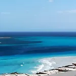 A.Mare