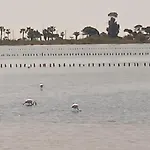 Villa Pier