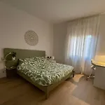 Accogliente Bilocale In Centro A Olbia